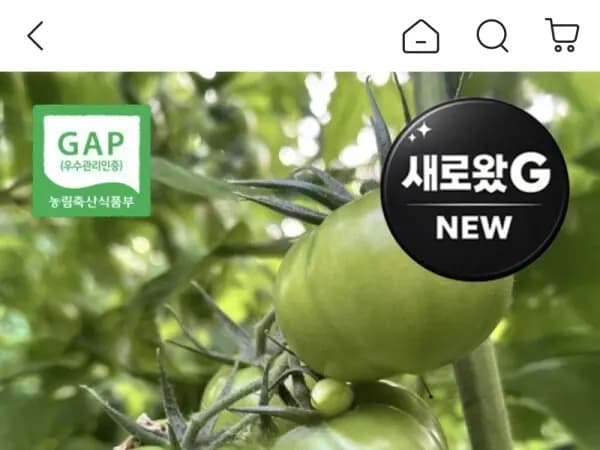 부산 대저 토마토 명인선정 M 사이즈 실중량 2.5kg