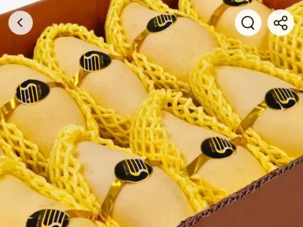 항공직송 태국망고 점보과 2.5kg(22,381원)/무료