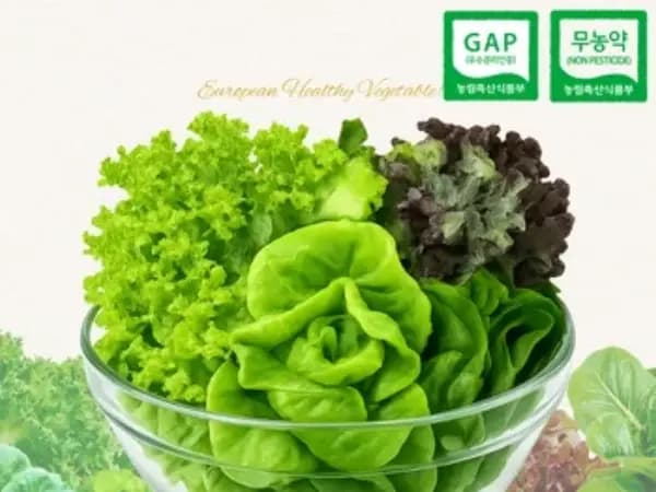 코인딜 무농약 유러피안 모듬 채소 1kg (4,455원/무료)