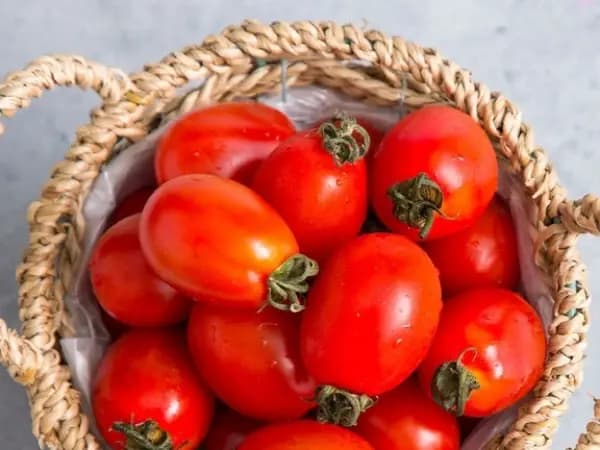 대추방울토마토 로얄과2kg 10,688원, 나랑드사이다제로 뚱캔 24입