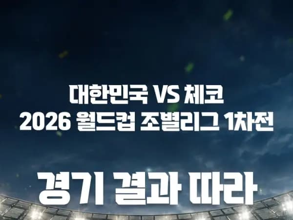 대한민국vs체코 경기 결과에 따른 차등 할인 상품: 대한민국vs체코 경기 결과에 따라 다양한 할인 적용 가능, 총 10개, 빨강색 5개, 파란색 5개, 10kg