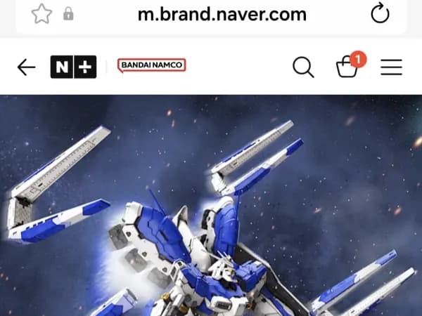 RG 하이뉴 건담 1개 54000원