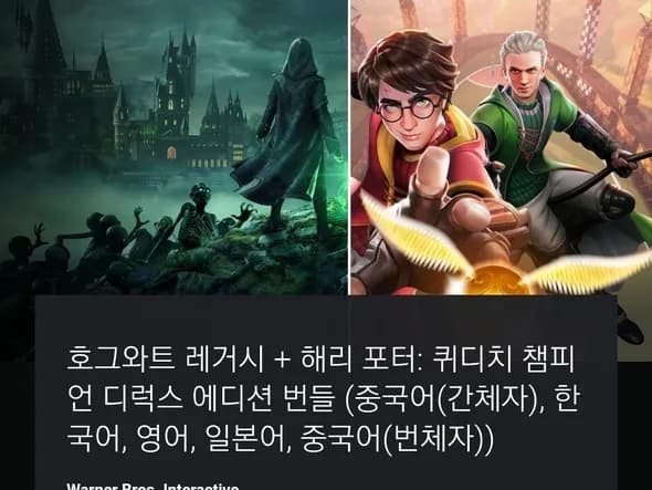 해리포터 레거시 퀴디치 챔피온 얼티밋 위저딩 번들