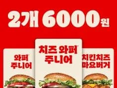 치즈와퍼주니어 또는 치킨치즈마요버거 2개