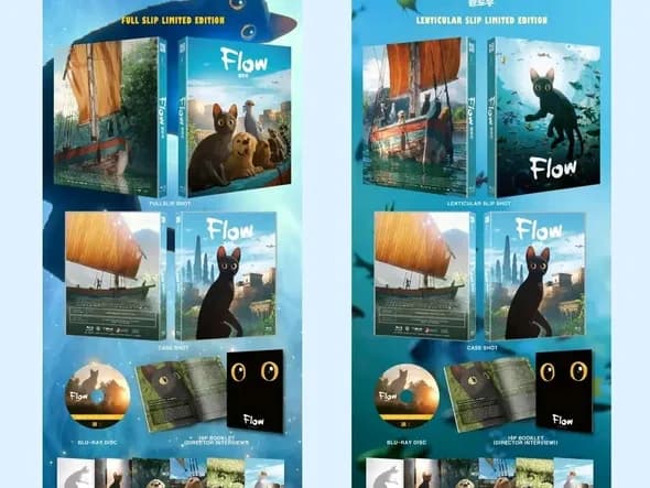 플로우 블루레이 출시예정