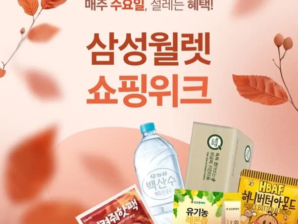 배달의민족 3만원권 27,000원