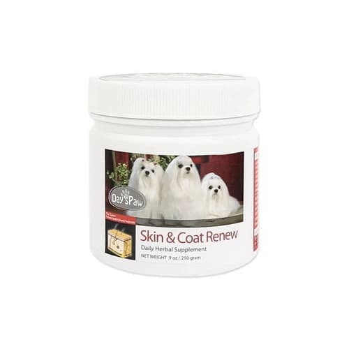 데이스포 피부영양제 250g