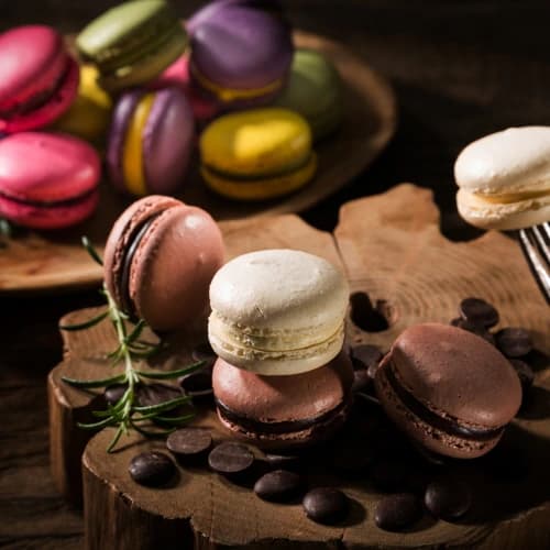 카페납품용 마카롱 20입 1팩 7종 택1 외 다양