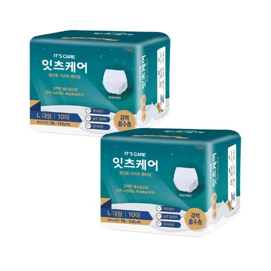 잇츠케어 성인용 기저귀 팬티형 대형 10매입 2개