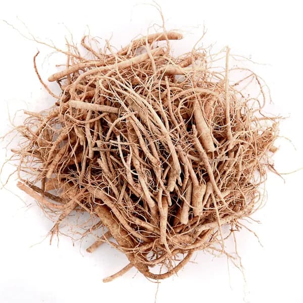 미삼(뿌리파삼) 업소용 750g 1개 31,900원
