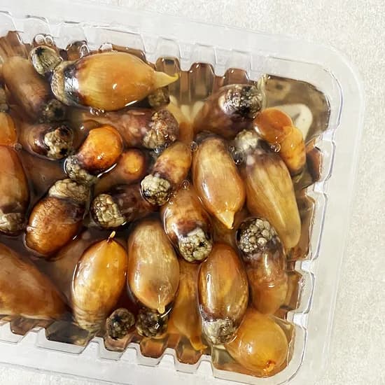 통영 미더덕회 생물 500g 2팩