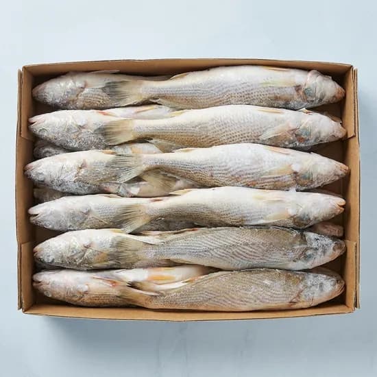 몽실 민어조기 P 37~39cm 3마리