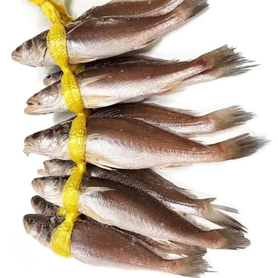 자갈치닷컴 민어굴비 1.5kg 24cm 전후 10마리
