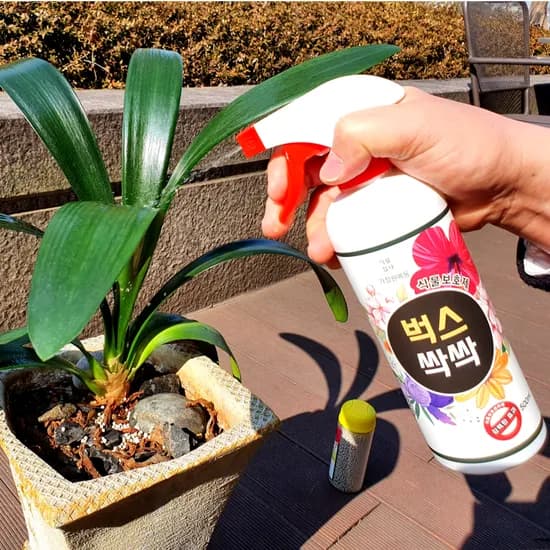 벅스싹싹, 500ml, 1개