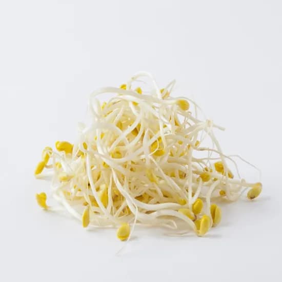 순수 국산콩 콩나물 3kg