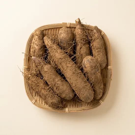 흙사랑농원 안동 산마 특품 3kg 1개