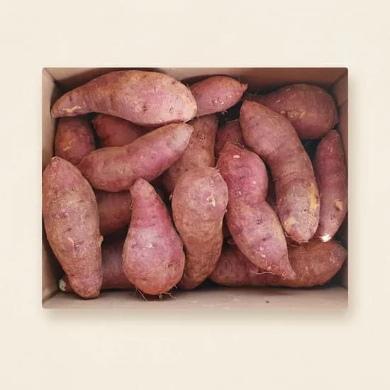 달콤고구마 해남 햇 황토 꿀고구마 베니하루카 대 3kg 1박스
