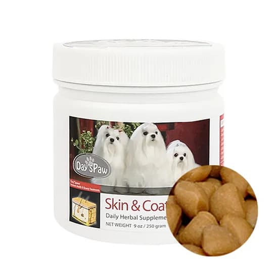 데이스포 에이치시리즈 피부 영양제, 피부/피모, 250g, 1개