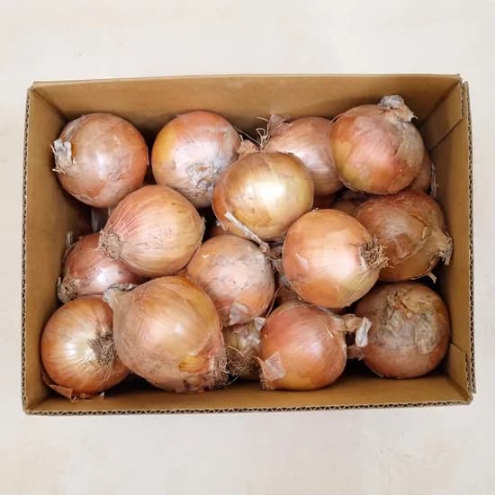 전남 무안 햇양파 중대혼합 3kg 1박스