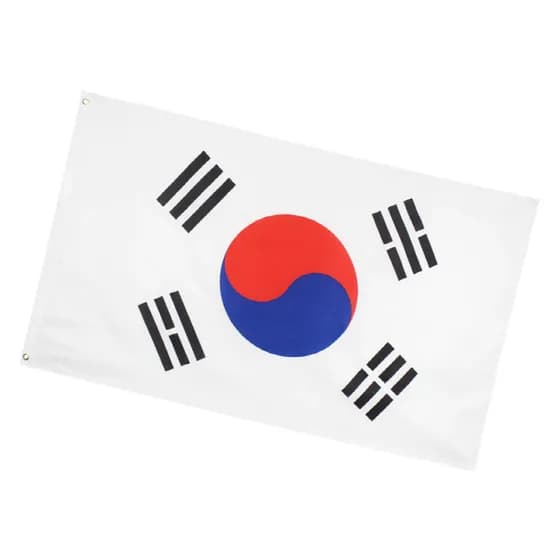 태극기, CM003175, 대형, 1개