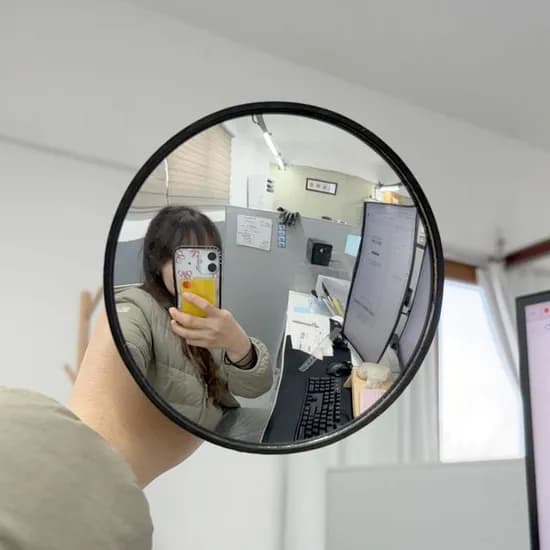 흡착형 볼록거울, 블랙