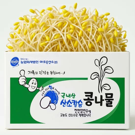 당일 수확 무농약 산소 칼륨 콩나물, 1kg, 1개