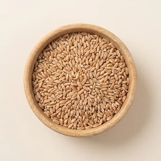 이탈리아산 파로 밀 500g 2개