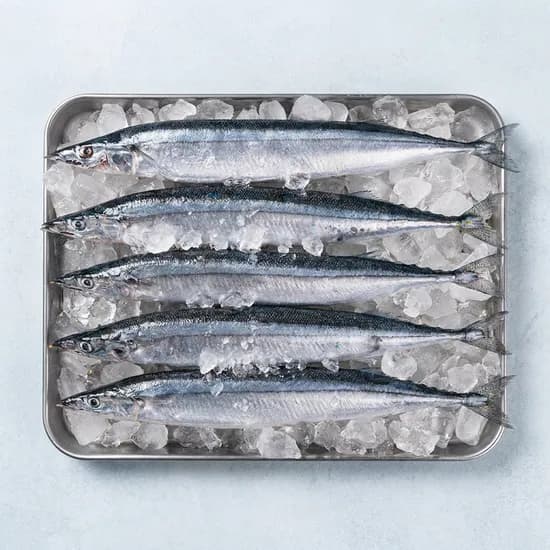 구룡포 냉동 꽁치 10마리 1.2kg