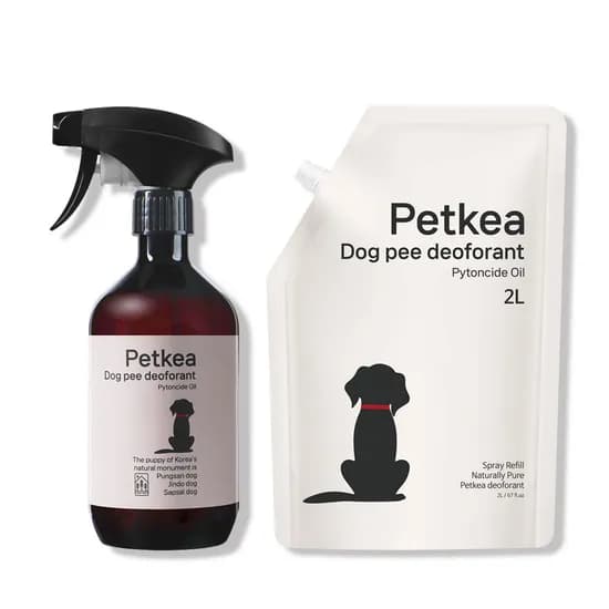 펫케아 강아지 탈취제 피톤치드 천연 스프레이, 공병, 2L, 1개