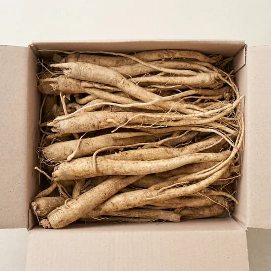 안동 약도라지 4년근 상중대 1kg 1개 26,000원