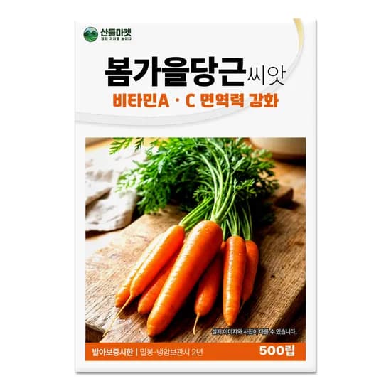 산들마켓 산들봄가을당근씨앗, 500립, 2개