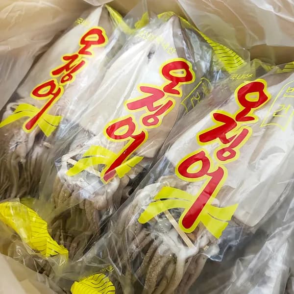 국내산 동해안 반건조 오징어 10마리 1.4kg 47,900원