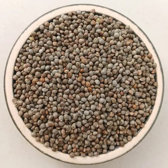 중국산 길림 들깨 1kg 1개 2025년산