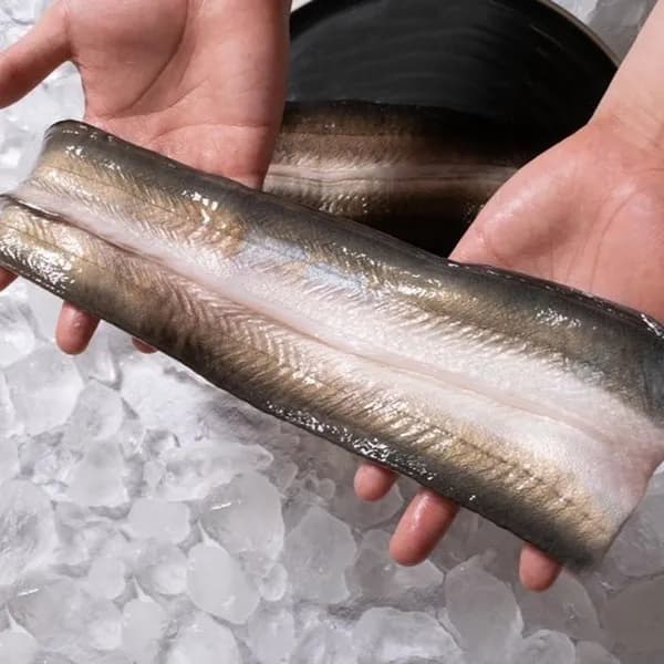 찬바다 자포니카 민물장어 특대 1kg 1팩 25,900원