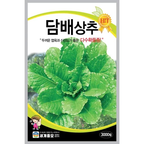 세계종묘 담배상추 여름청치마, 3000립, 1개