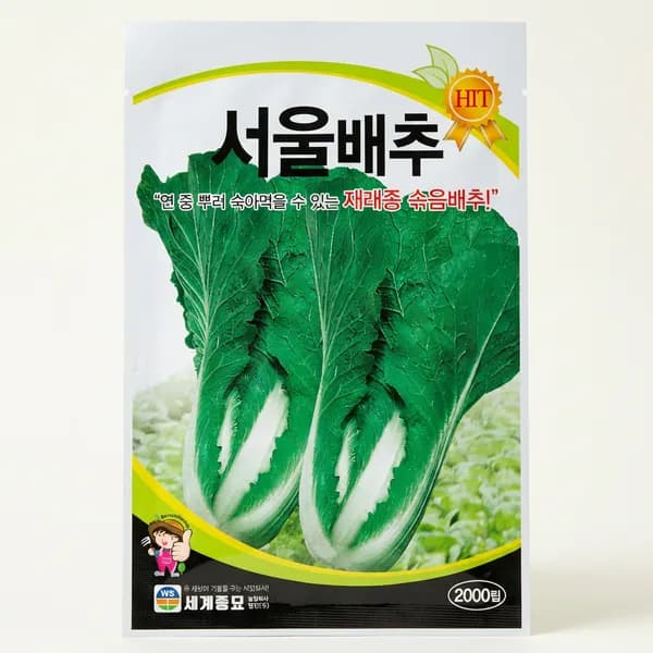 세계종묘 서울배추 씨앗 2000립 1개 5,000원
