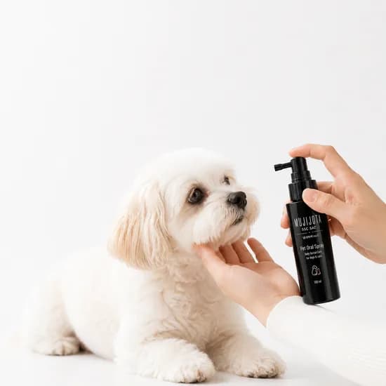 무지조타 냄새쓱싹 No.5 강아지 고양이 치석제거 뿌리는 치약 스프레이 100ml 2개