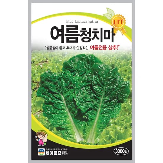 세계종묘 여름청치마 상추 씨앗, 3000립, 1개