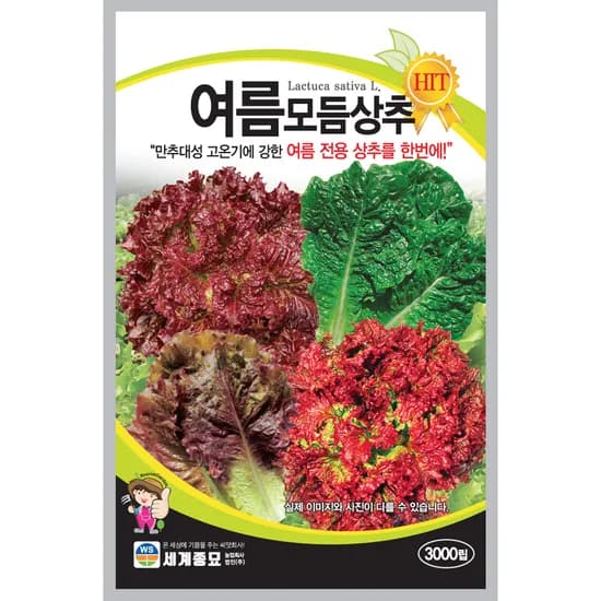 세계종묘 여름모듬상추, 3000립, 1개