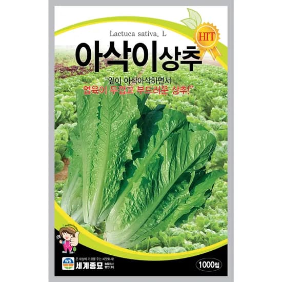 세계종묘 아삭이상추 1개 6,000원