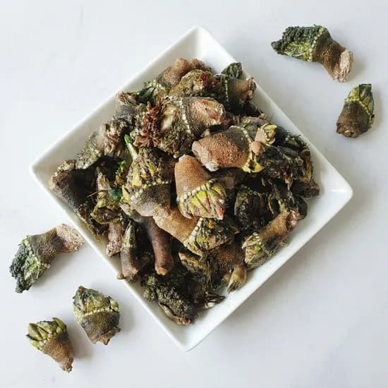 거북손 500g 1팩