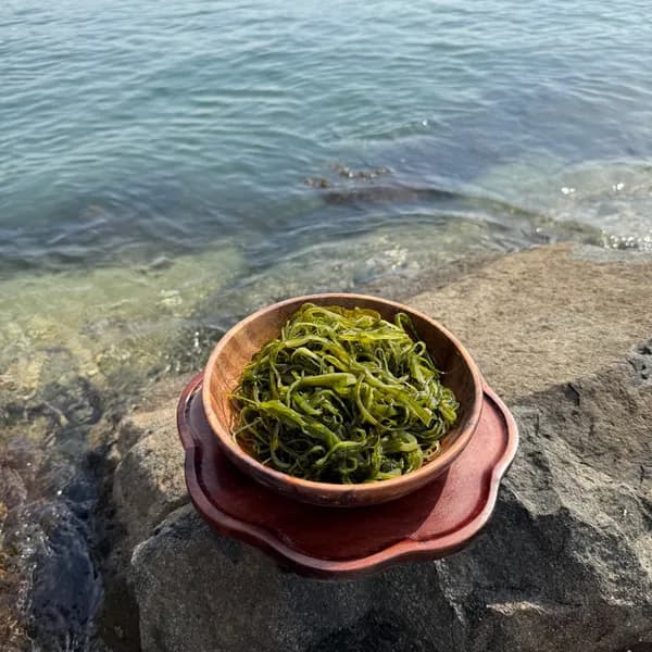 완도산 염장 미역줄기 10kg