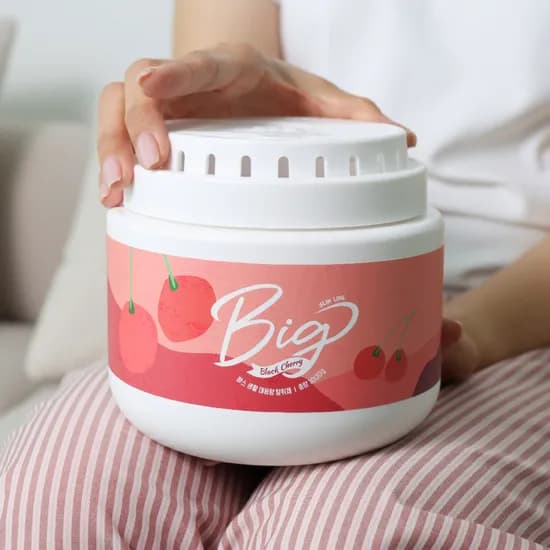 BAS 특대형 탈취제 블랙체리향 1000g 1개