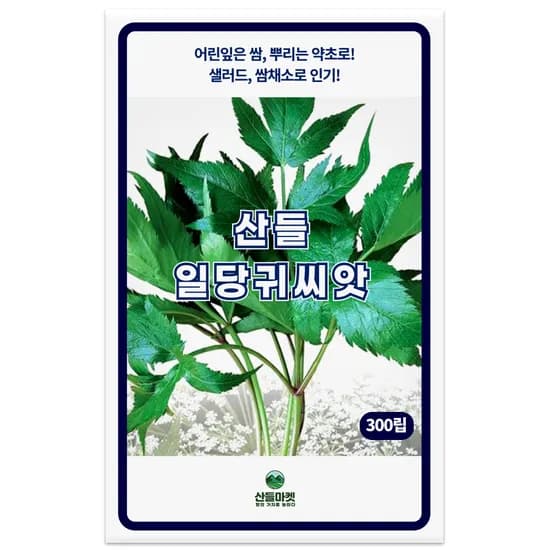 산들 일당귀 300립 1개