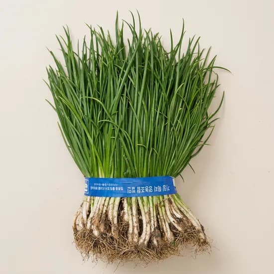 기장 쪽파 흙쪽파 1kg 1개