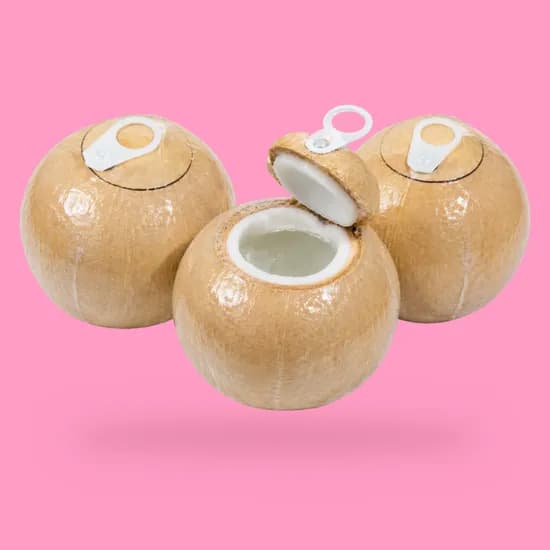 안안푸드 원터치 이지코코넛 500g 내외 8개