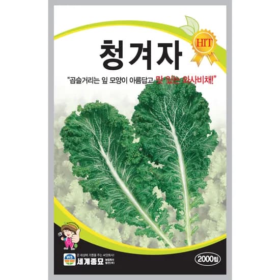 세계종묘 청겨자 와사비채 2000립 1개