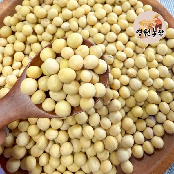 영월농산 메주콩 백태 대두 두부콩 국내산 25년산 3kg