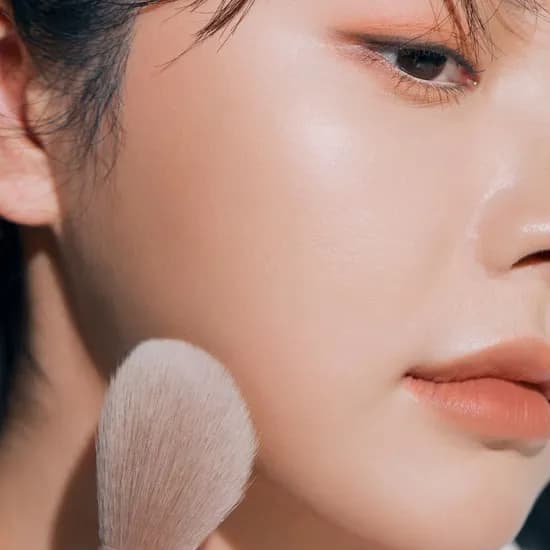 에뛰드 그림자쉐딩 브러쉬 01 턱 브러쉬 1개
