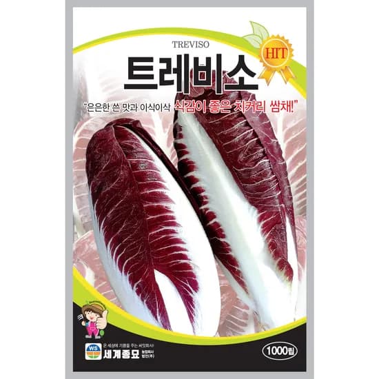 세계종묘 트레비소, 1000립, 1개